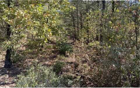 0 Spring Lake Rd, Dardanelle, AR 71295