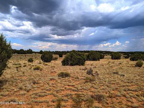 1109 Jackpot Ranch Road, Seligman, AZ 86337