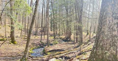 Lot 155 Tink Wig Drive, Hawley, PA 18428