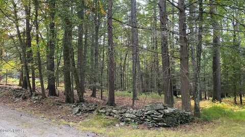 Lot 219 Sunnyside Road, Tafton, PA 18464