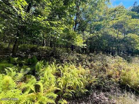 Lot 426 Squirrel Road, Dingmans Ferry, PA 18328