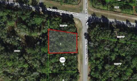 2177 E Citrus Springs Boulevard, Citrus Springs, FL 34434