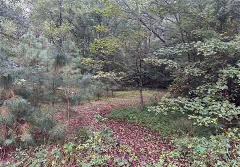 .33 ac CENTRAL HILL Road, Windsor, VA 23487