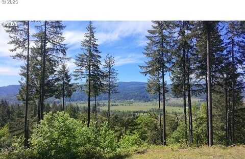 Alder Branch RD, Springfield, OR 97478
