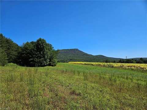 00 Old Mill Road, Pinnacle, NC 27043