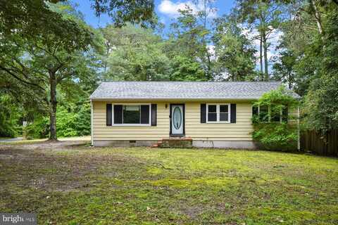 32548 MOUNT OLIVE ROAD, SALISBURY, MD 21804