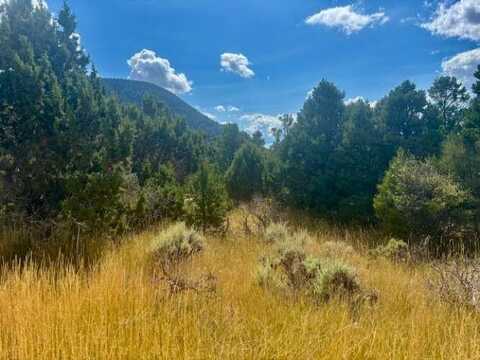 2102 S High Cedar View, Cedar City, UT 84720