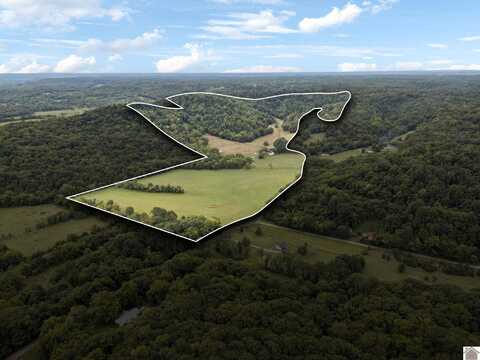 1993 Crooked Hill Rd, Other, TN 38478