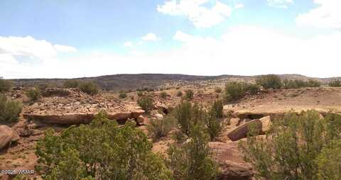 Tbd CR 	212-11-013A, Concho, AZ 85924