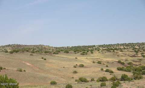 Tbd CR 	212-08-001E, Concho, AZ 85924