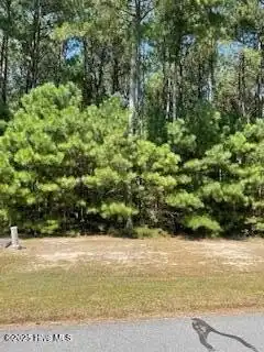 449 Riversound Drive, Edenton, NC 27932