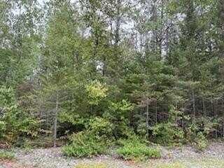 E Grand Lake Rd lot: 35-37, Presque Isle, MI 49777