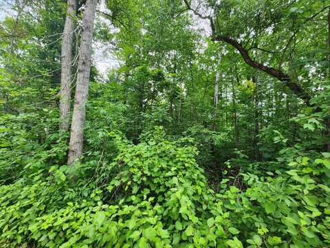 V/L L 7-8 James Ray Street lot: 7-8, Glennie, MI 48737