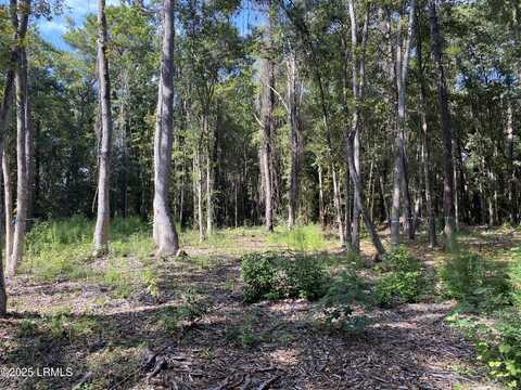 51 Mary Smalls Road, Saint Helena Island, SC 29920