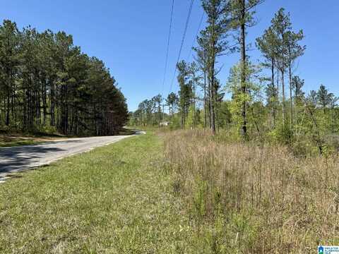 Tract 3 COUNTY ROAD 268, ROANOKE, AL 36274