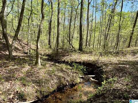 Tract 2 COUNTY ROAD 268, ROANOKE, AL 36274