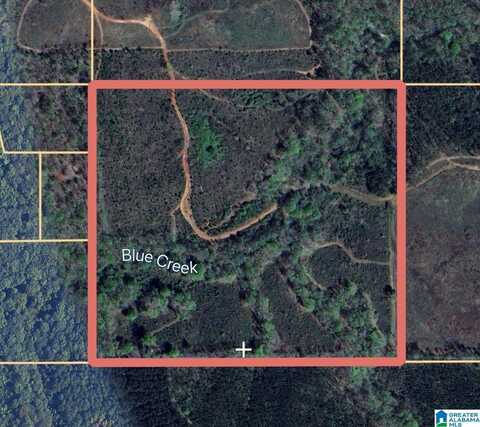 0 COUNTY ROAD 580, VERBENA, AL 36091