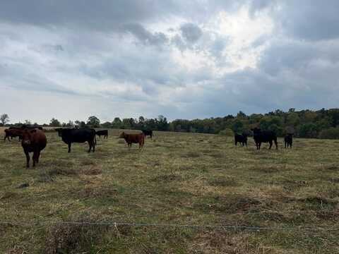 928 Turkey Run Road, Flemingsburg, KY 41041