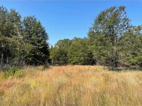 0 Rebecca Waterloo Highway, Rebecca, GA 31783