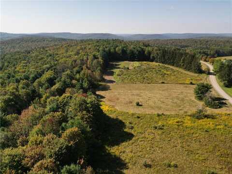 330 Tallow Hill Road, Spencer, NY 14883