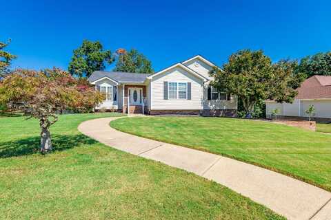 9011 Dark Pond Lane, Harrison, TN 37341