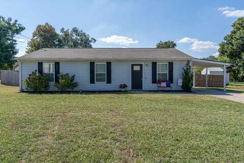 1379 Highway 225 S, Chatsworth, GA 30705