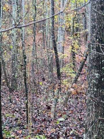 Sims Road, Decatur, TN 37322
