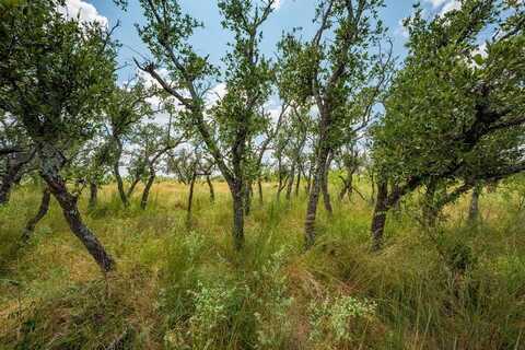 1445 -- Cave Wells Rd, Fort Mckavett, TX 76841