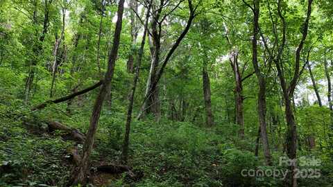 Killdevil Hill Lane unit: 9 & 10, Bat Cave, NC 28792