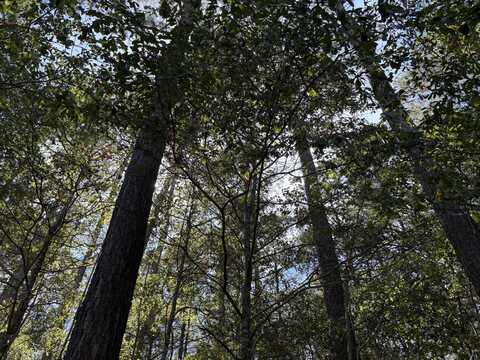 000 Slab Landing Road, Cope, SC 29038