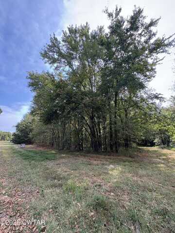 0 Hamilton Drive, Martin, TN 38237