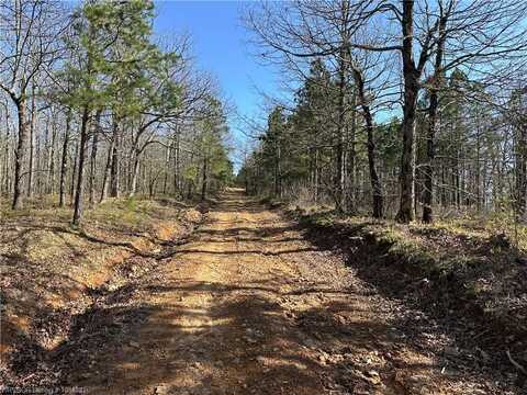 160 Heavener, Heavener, OK 74937
