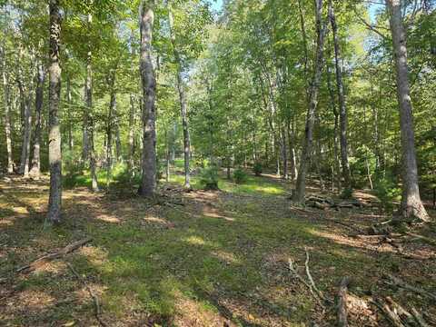 6535 MILL CREEK RD, MILLBORO, VA 24460