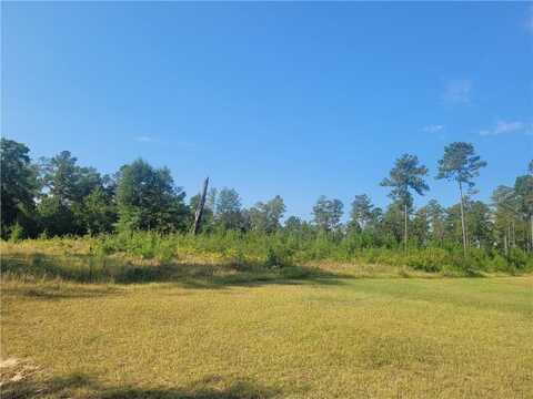0 Howard Morris Road, Wilmer, AL 36587
