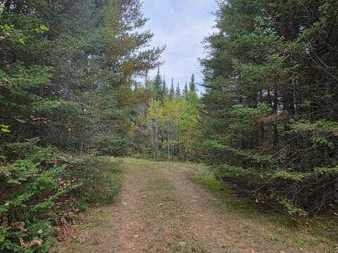 On WILSON SCHOOL RD, Tomahawk, WI 54487