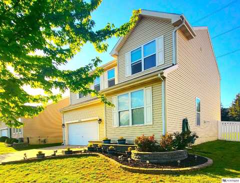16228 Virginia Street, Omaha, NE 68136