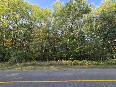 6718 Beechnut Ridge, Canadian Lakes, MI 49346