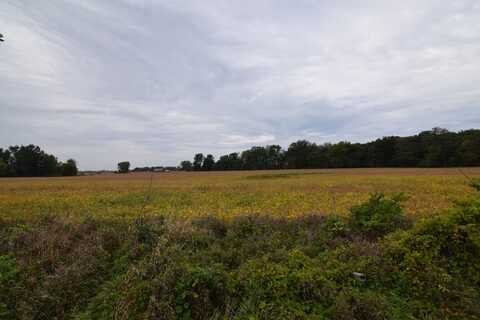Rierson Road, Bronson, MI 49028