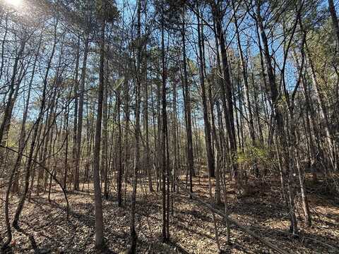 0 Markham Road, Bradley, SC 29819