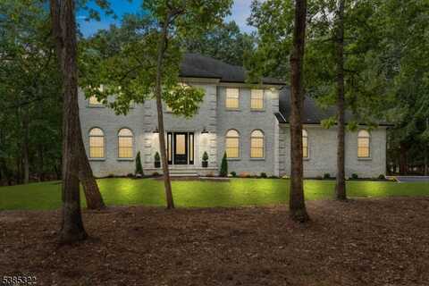 14 Deer Run Dr, Millstone Twp., NJ 08510
