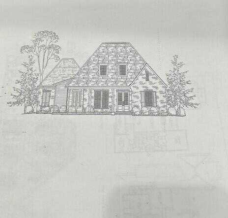 300 Scales St, Starkville, MS 39759