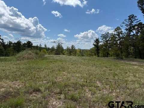 000 County Road 2123, Whitehouse, TX 75791