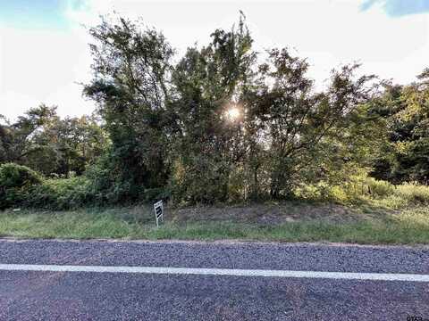 Lot 1 FM 1519, Leesburg, TX 75451