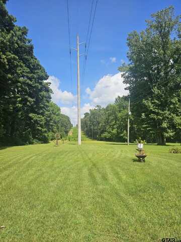 9100 N CR 133, Overton, TX 75684