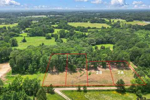 TBD CR 224 (Lot 2B), Arp, TX 75750