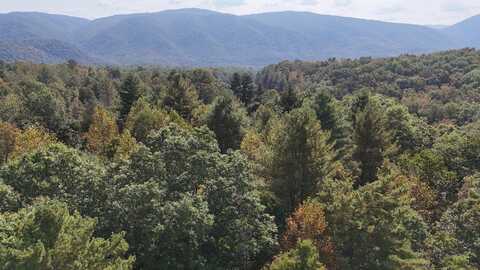 359 Four Oaks Ln, Caldwell, WV 24925