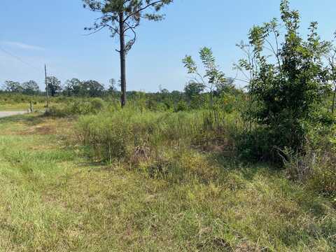 0000 A J Bond Rd., Sumrall, MS 39482