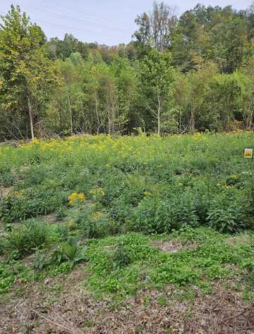 Twp Rd 135, South Point, OH 45680