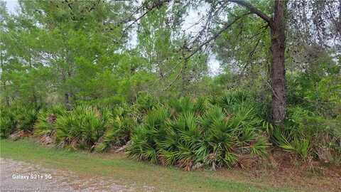 3217 Savannah Sparrow Avenue, Lake Placid, FL 33852