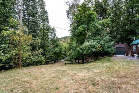 7317 MOYERS GAP RD, SUGAR GROVE, WV 26815